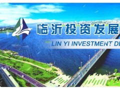 临沂投资发展有限责任公司图1
