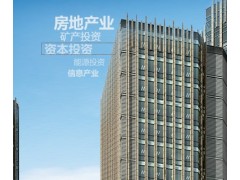 中金投资（集团）有限公司图2