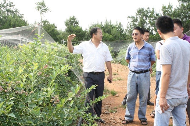 芜湖弘源农业董事长向参观者介绍蓝莓基地的成功经验