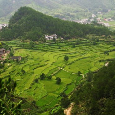 中心村田园风景