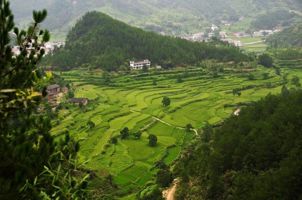 中心村田园风景