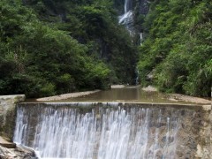 中心村水景