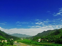 中心村田园风景A
