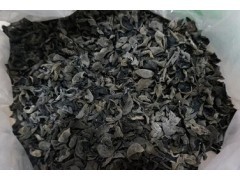 大别山区 岳西特产 纯天然 极品椴木黑木耳 冬耳图1