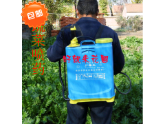 16升手动背负式农用农田花园艺消毒气压喷雾打药机器喷药机喷雾器图1