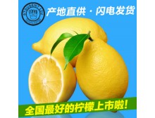 新鲜安岳柠檬四川特产尤力克黄柠檬水果7-12个1250克新鲜水果包邮