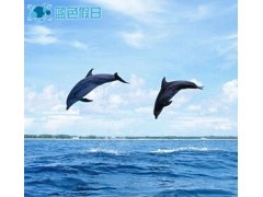 三亚分界洲岛门票+海洋文化馆套票 海豚表演观光海南旅游景点图2