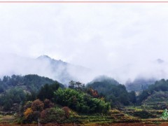 简介：