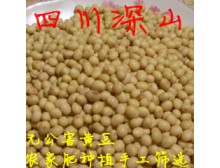 磨滩原生态特产店四川 深山2012新非转基因 有机大豆 黄豆 500G