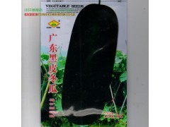 蔬菜水果实惠装【广东黑皮冬瓜-青皮冬瓜】冬瓜 菜瓜 冬瓜种子图2