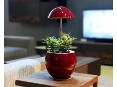 植物蛋--全自动植物生长机图2