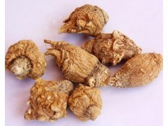 丽江黄玛卡干果maca玛卡果 玛咖干果玛咖果批发图2