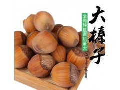 东北农特产野生大榛子 孕妇零食原味绿色 500g散装批发图2