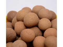 桂圆干4A特级有核龙眼干 批发 一件代发 肉核小肉厚特产干货图2