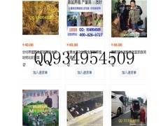 野兔黑豚鼠养殖场基地图1