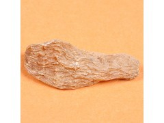 优质野生天麻干货图2